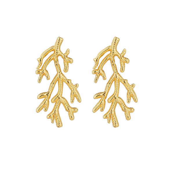 Tree Root Aesthetic Earring: 18K Gold Plated